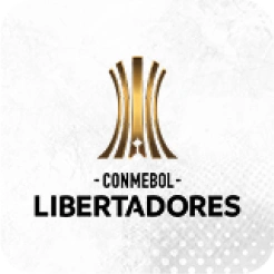 No wplay você assiste aos jogos da Libertadores online.
